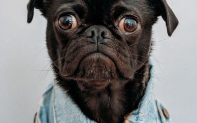 3 Coisas Que Podem Abaixar Sua Vibração Sem Você Perceber