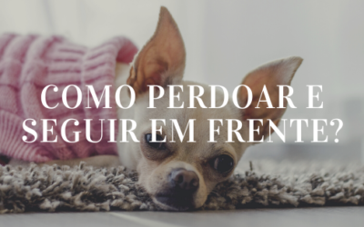 Como Perdoar e Seguir em Frente?