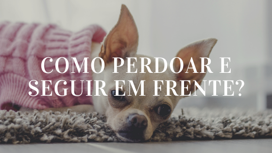 Cachorrinho com as palavras "como perdoar e seguir em frente"